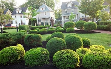 Irondequoit Landscape -  - Rochester NY